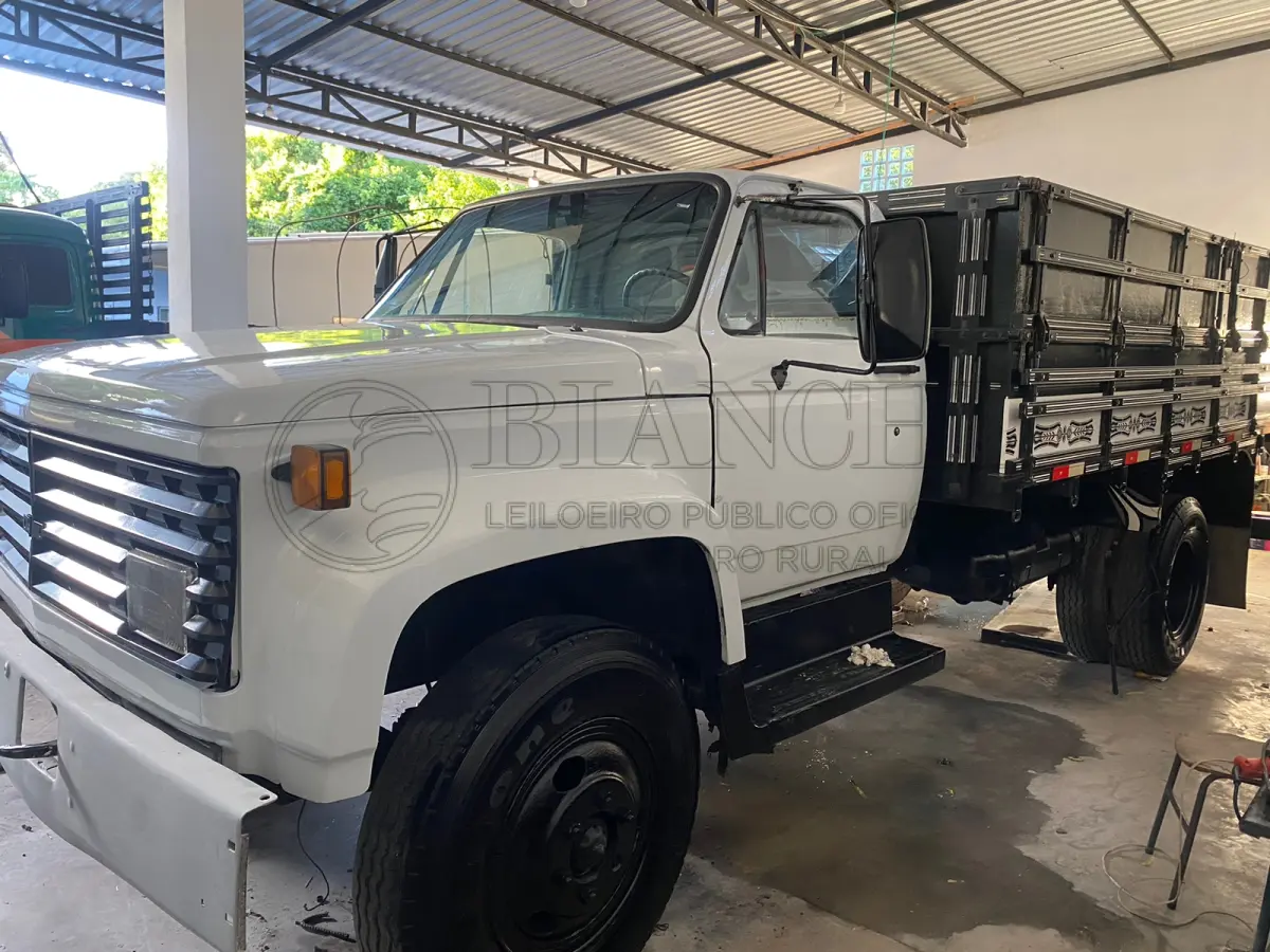 LOTE 003 - Veículo marca/modelo: GM/CHEVROLET, Ano/modelo: 1986/1986, Placa: IEO7I90, Chassi: 9BG5653NXGC029322, RENAVAM: 578416379, Registrado em: PORTO ALEGRE, Tipo: Caminhão, Cor: Branca, Espécie: Carga, Veículo está: Em circulação, Licenciamento válido até: 31/07/2023. (OBS: consta basculante no documento e está com carroceria, Regularização por conta do Comprador)