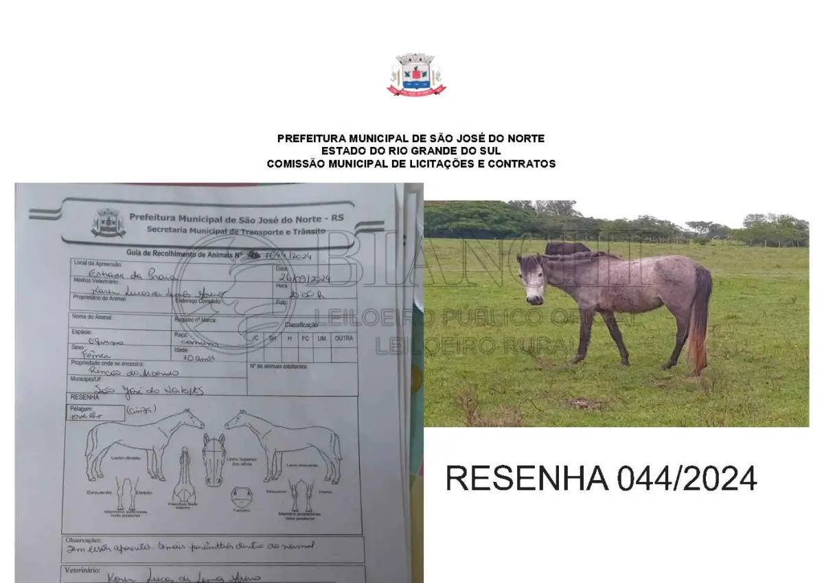 LOTE 001 - LOTE ÚNICO - TODOS