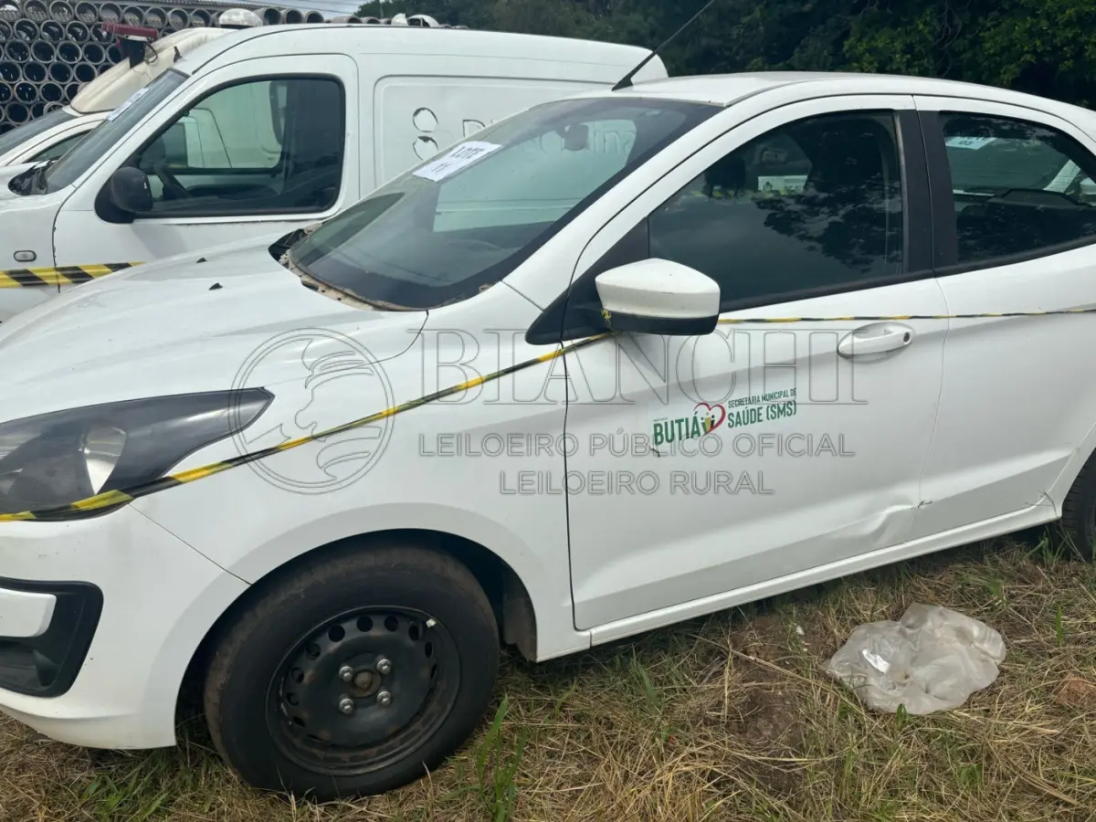 LOTE 011 - Ford/KA – 2020/2021