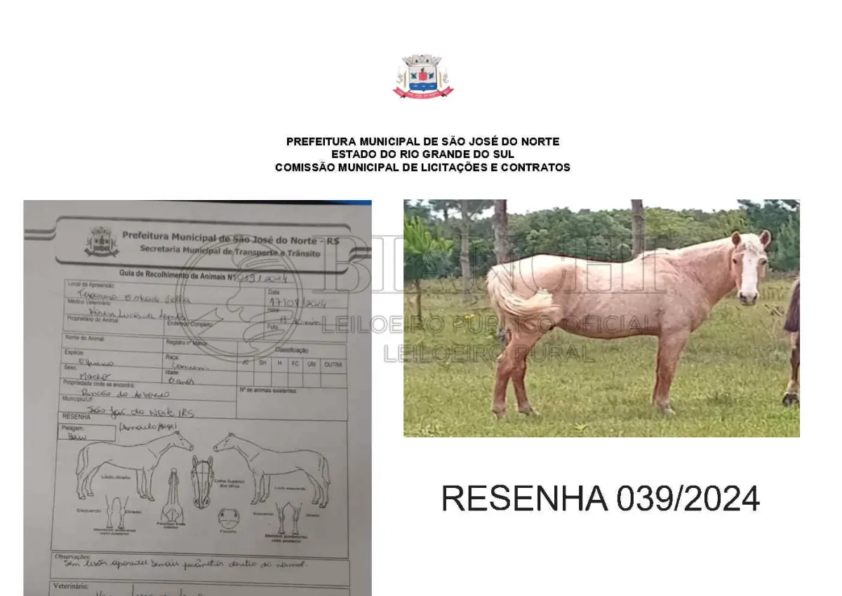 LOTE 001 - LOTE ÚNICO - TODOS