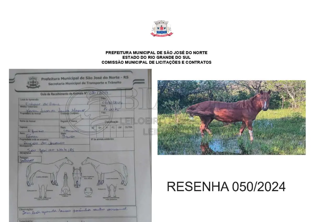 LOTE 001
