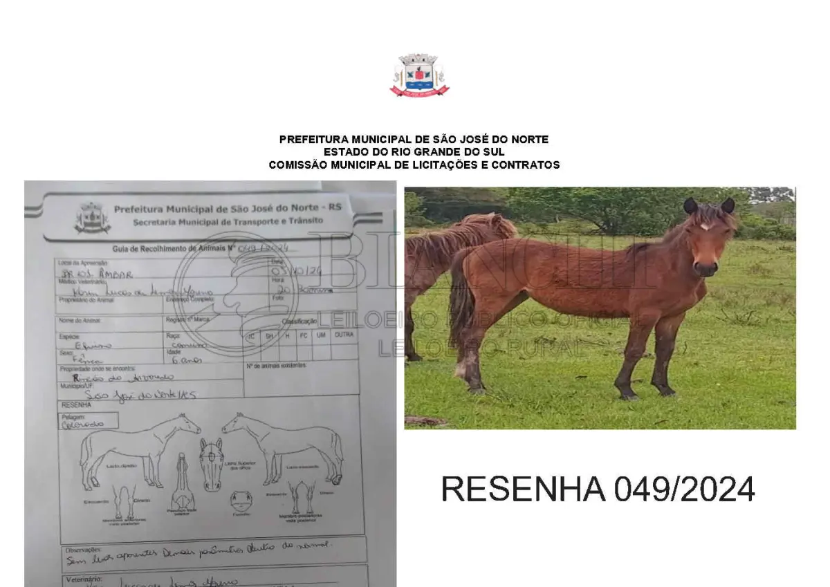 LOTE 001 - LOTE ÚNICO - TODOS