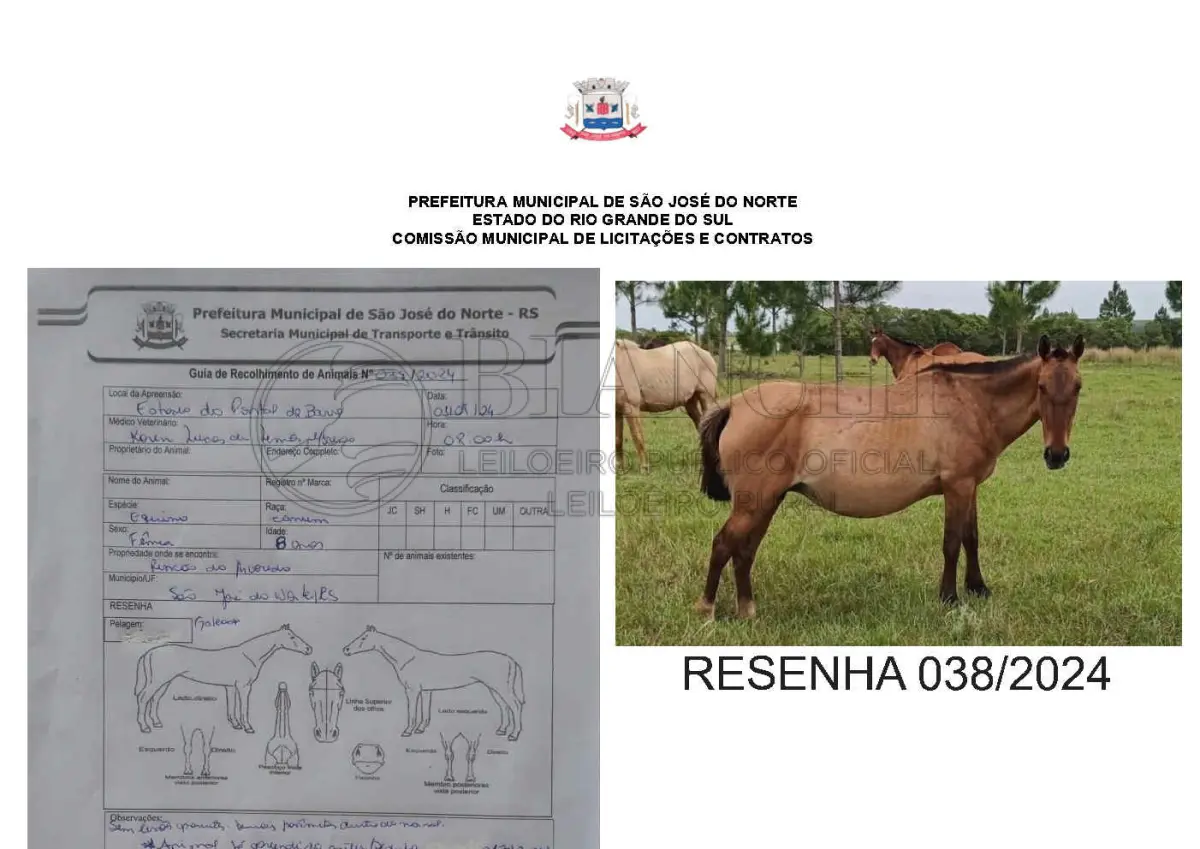 LOTE 001 - LOTE ÚNICO - TODOS