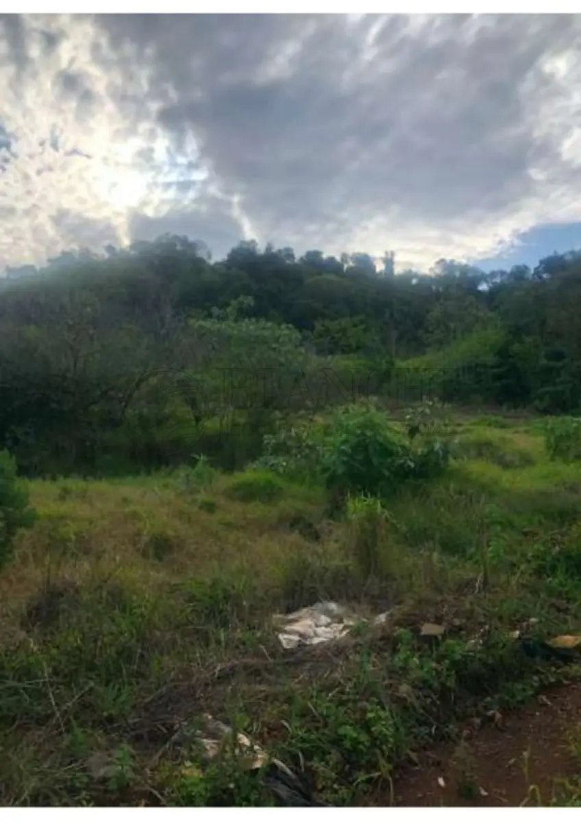 LOTE 000 - IMOVEL 37.500m²