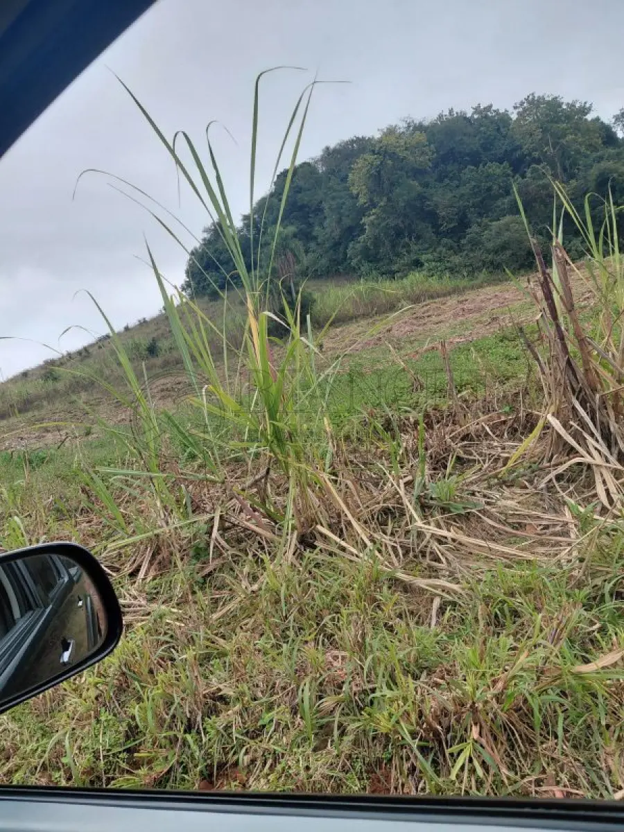 LOTE 000 - IMÓVEL EM CRISSIUMAL 33.500m²