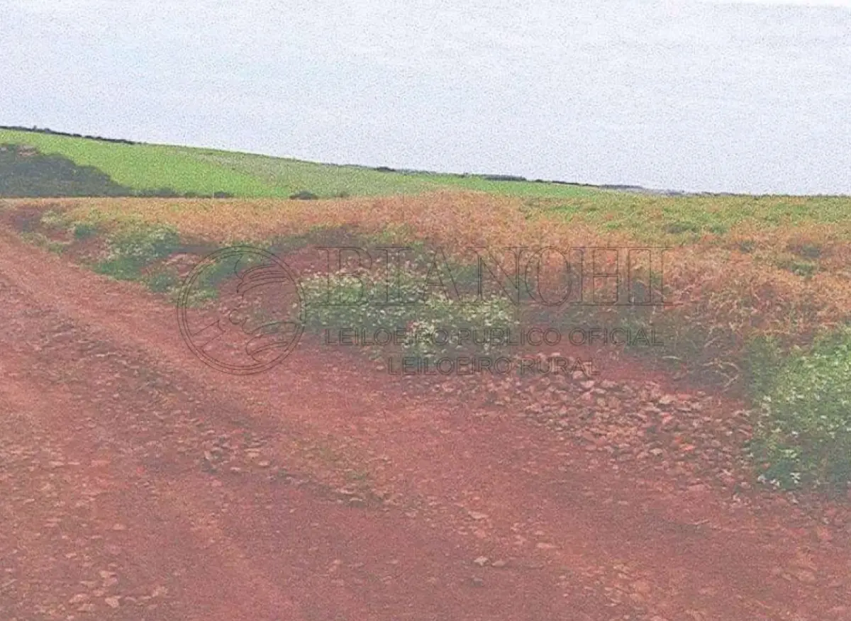 Gleba (foto 3 de 7)