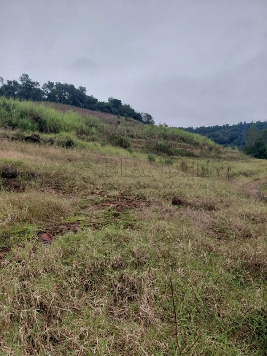 LOTE 000 - IMÓVEL EM CRISSIUMAL 33.500m²
