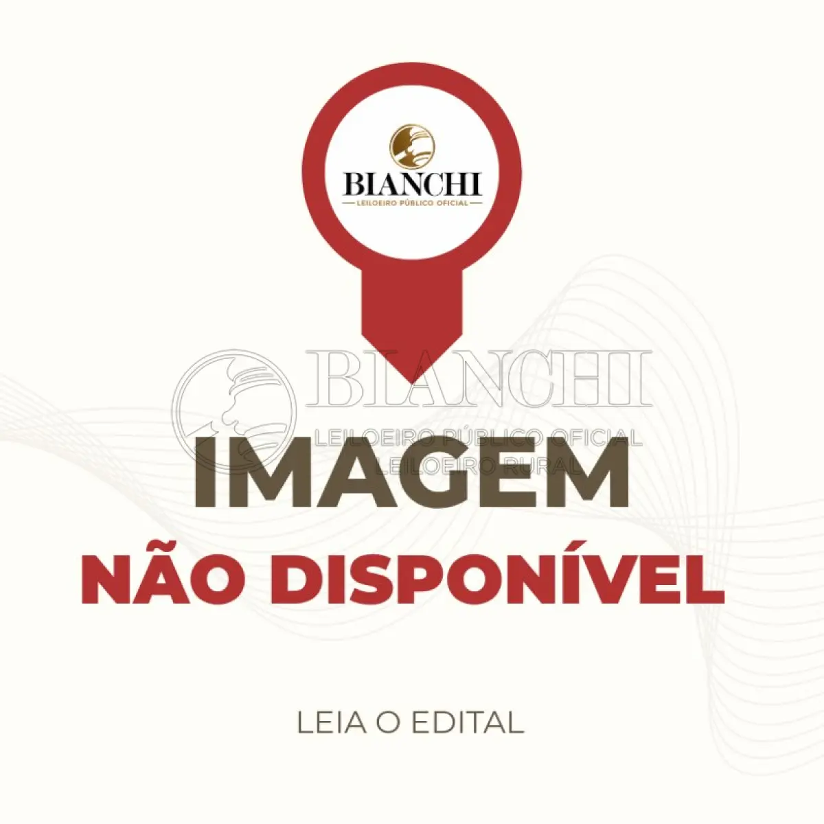 LOTE 000