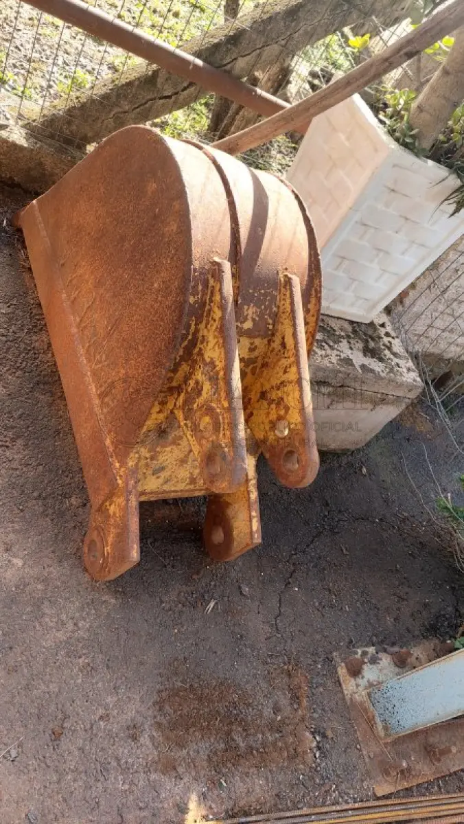 LOTE 010 - PÁ PEQUENA