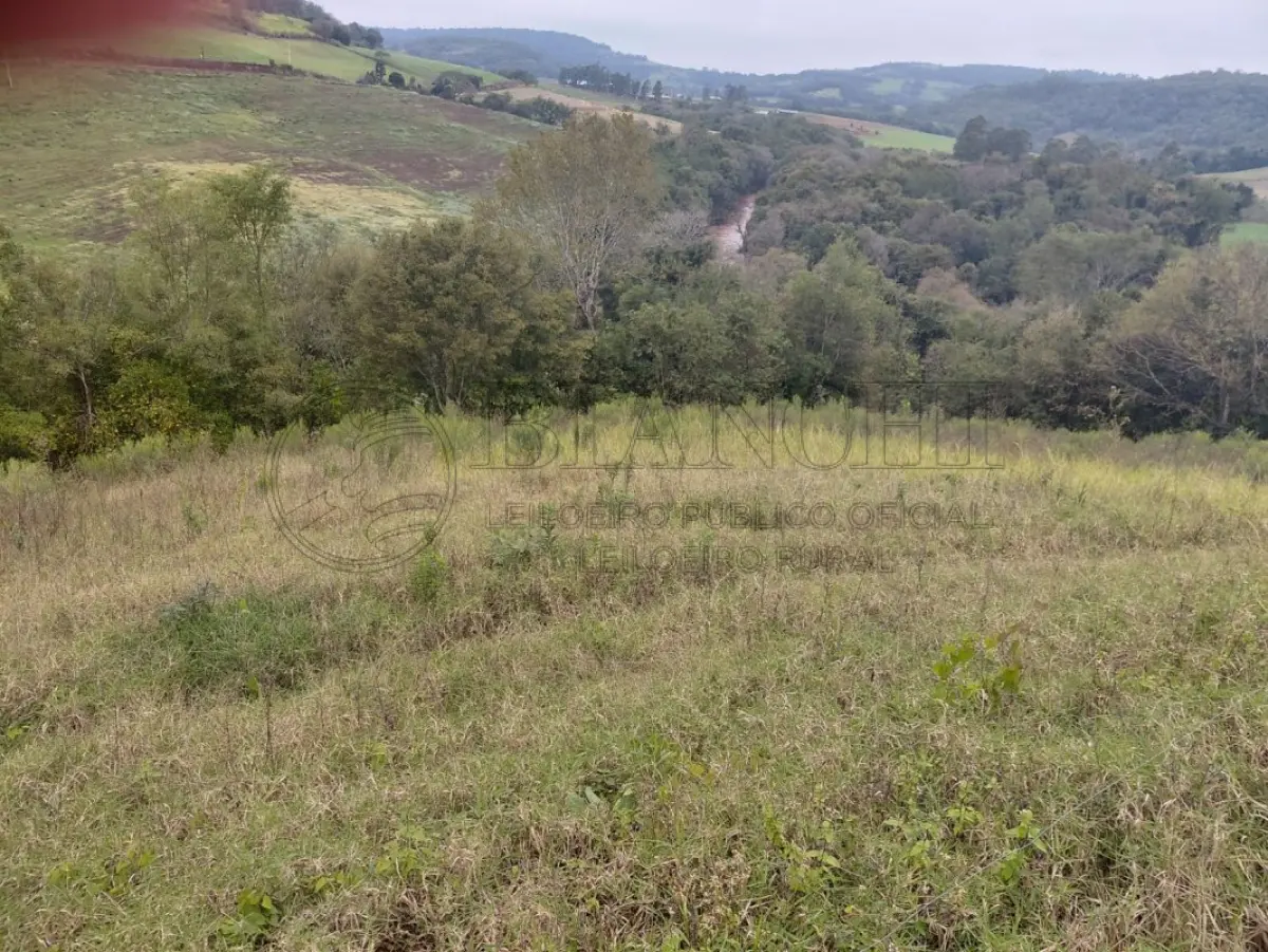 LOTE 000 - IMÓVEL EM CRISSIUMAL 33.500m²
