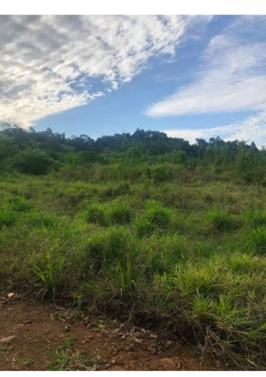 LOTE 000 - IMOVEL 37.500m²