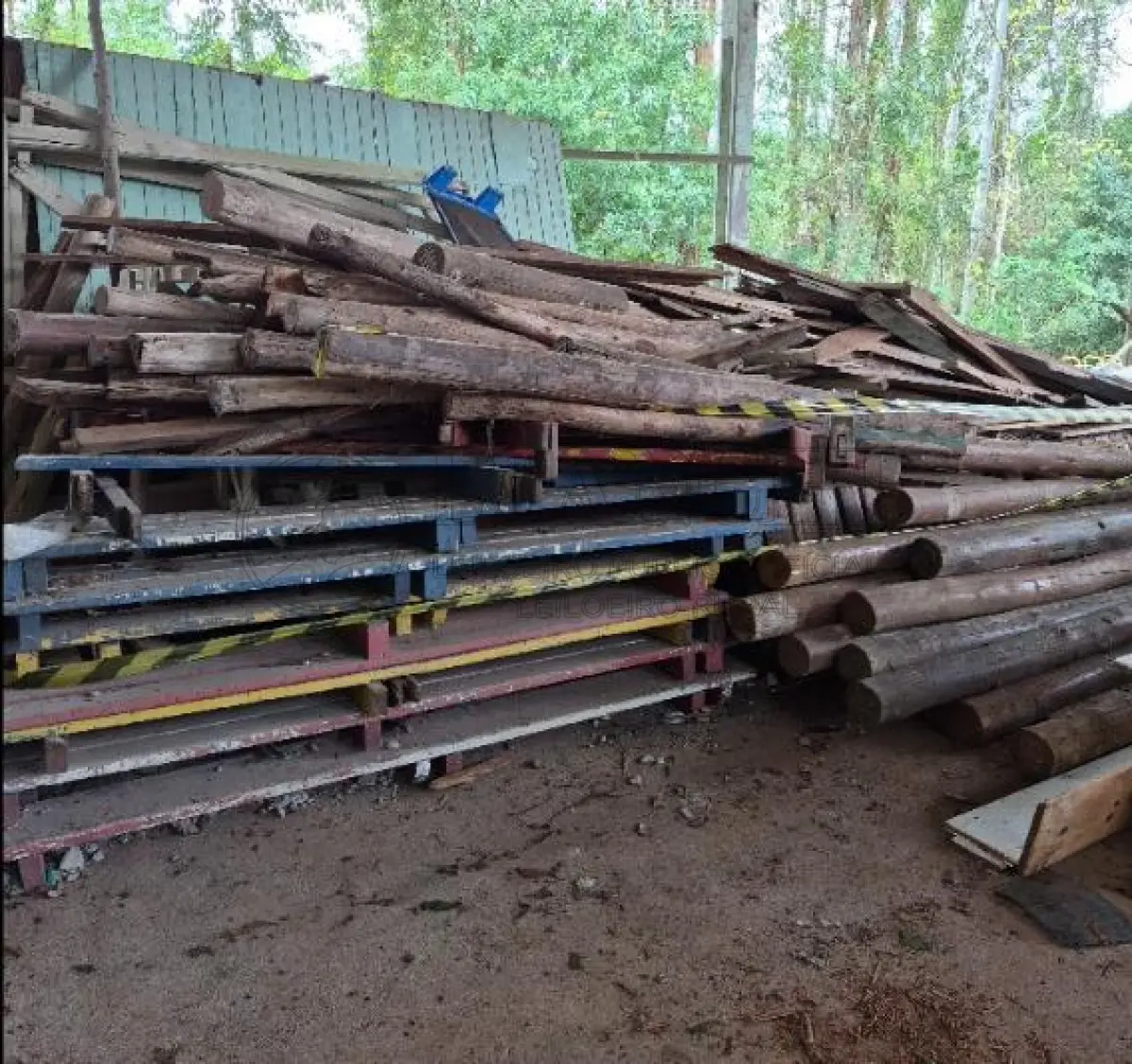 LOTE 011 - LOTE DE MADEIRA