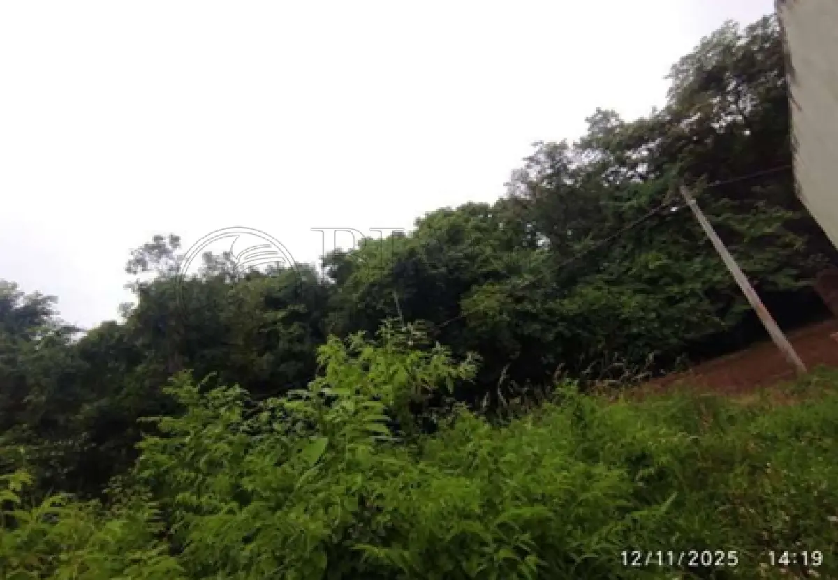 LOTE 000 - TERRENO EM HORIZONTINA