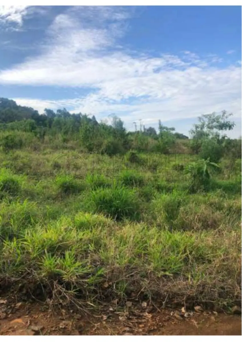LOTE 000 - IMOVEL 37.500m²