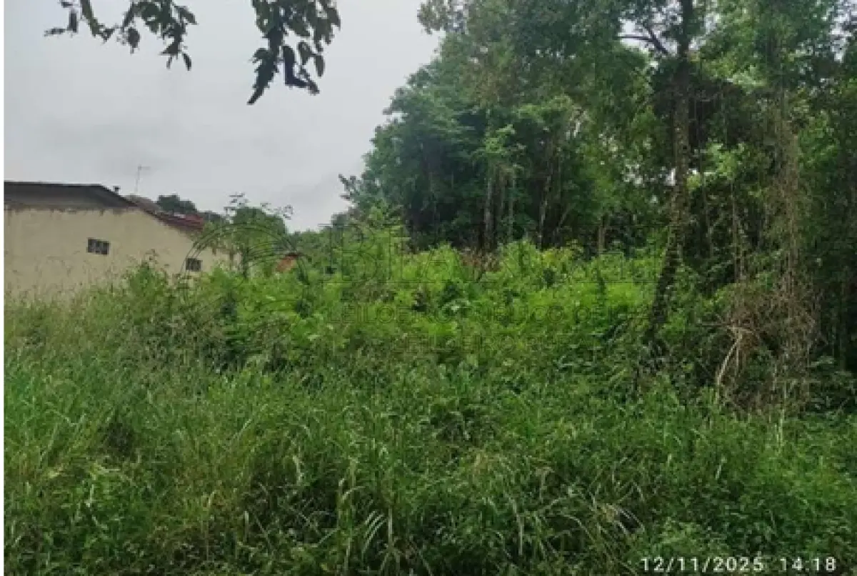 LOTE 000 - TERRENO EM HORIZONTINA