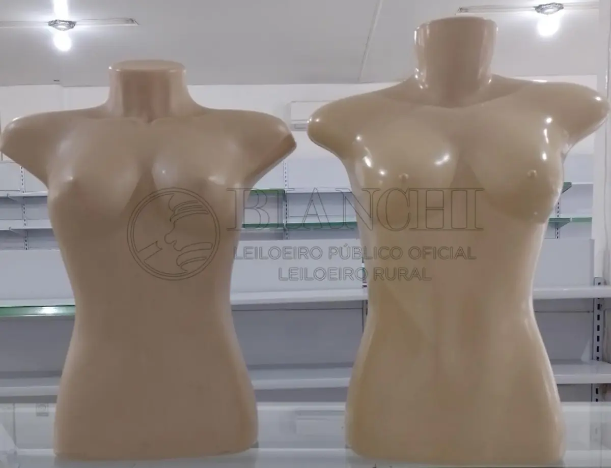 LOTE 026 - tres busto e um manequim masculino e  um manequim feminino