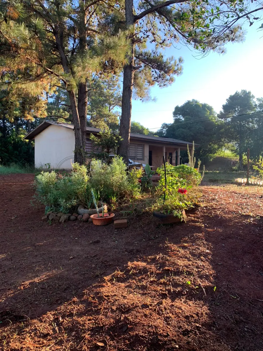 LOTE 014 - Uma fração de terras, medindo 50,00m de frente por 40,00m de fundo, área superficial de 2.000,00m², com edificação de 6,45m × 16,57m, na localidade de Linha Pulador Norte, conforme matrícula junto ao Cartório de Imóveis n.° 9.893