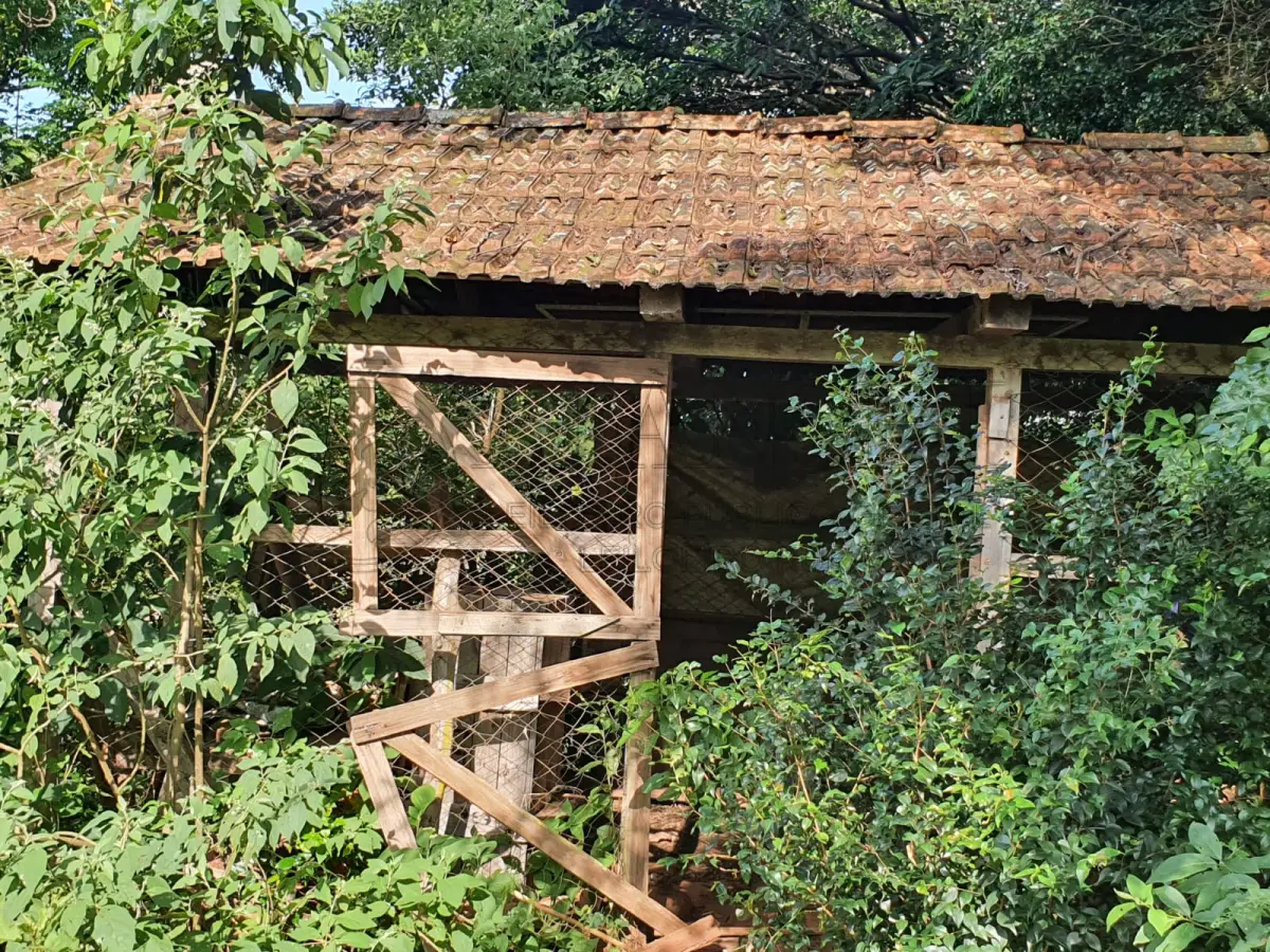 LOTE 010 - GALPÃO MISTO DE 36M² 