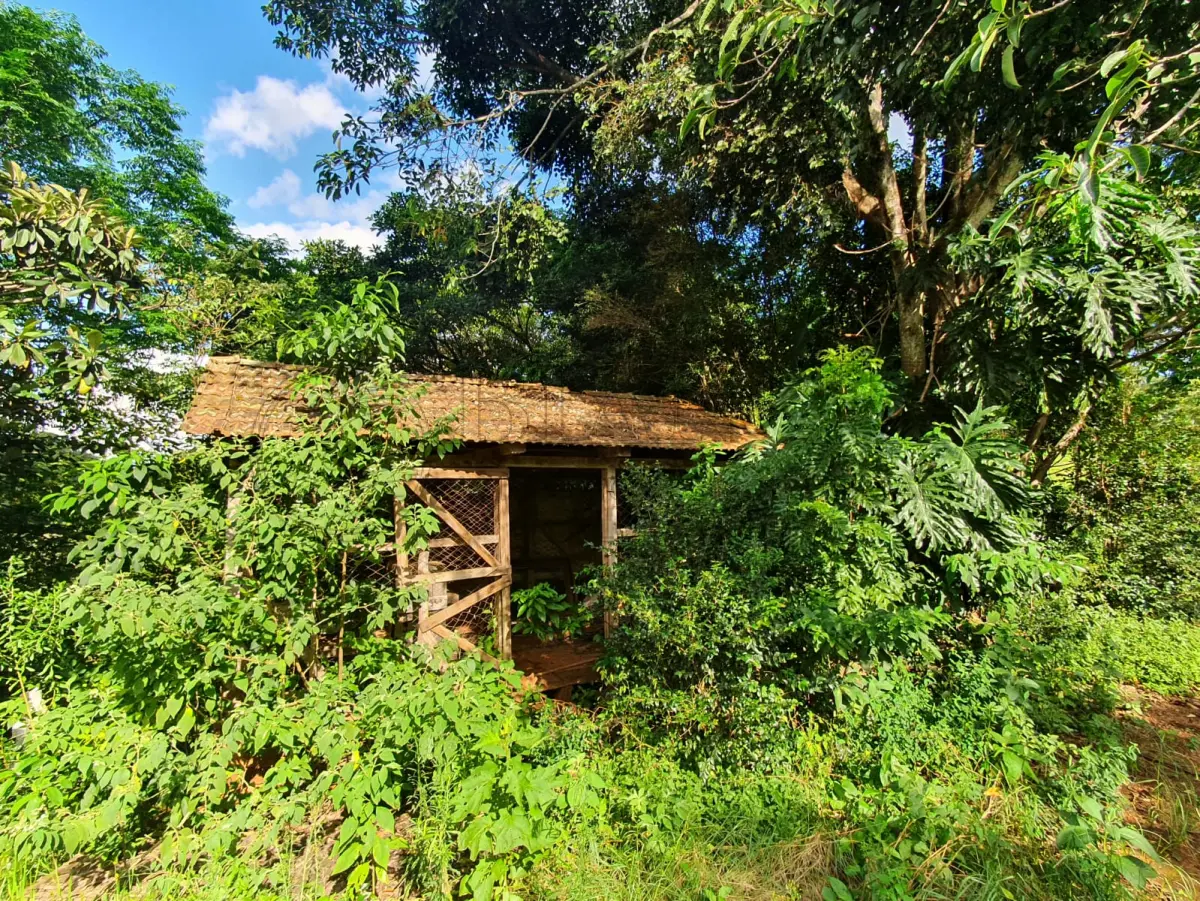 LOTE 010 - GALPÃO MISTO DE 36M² 