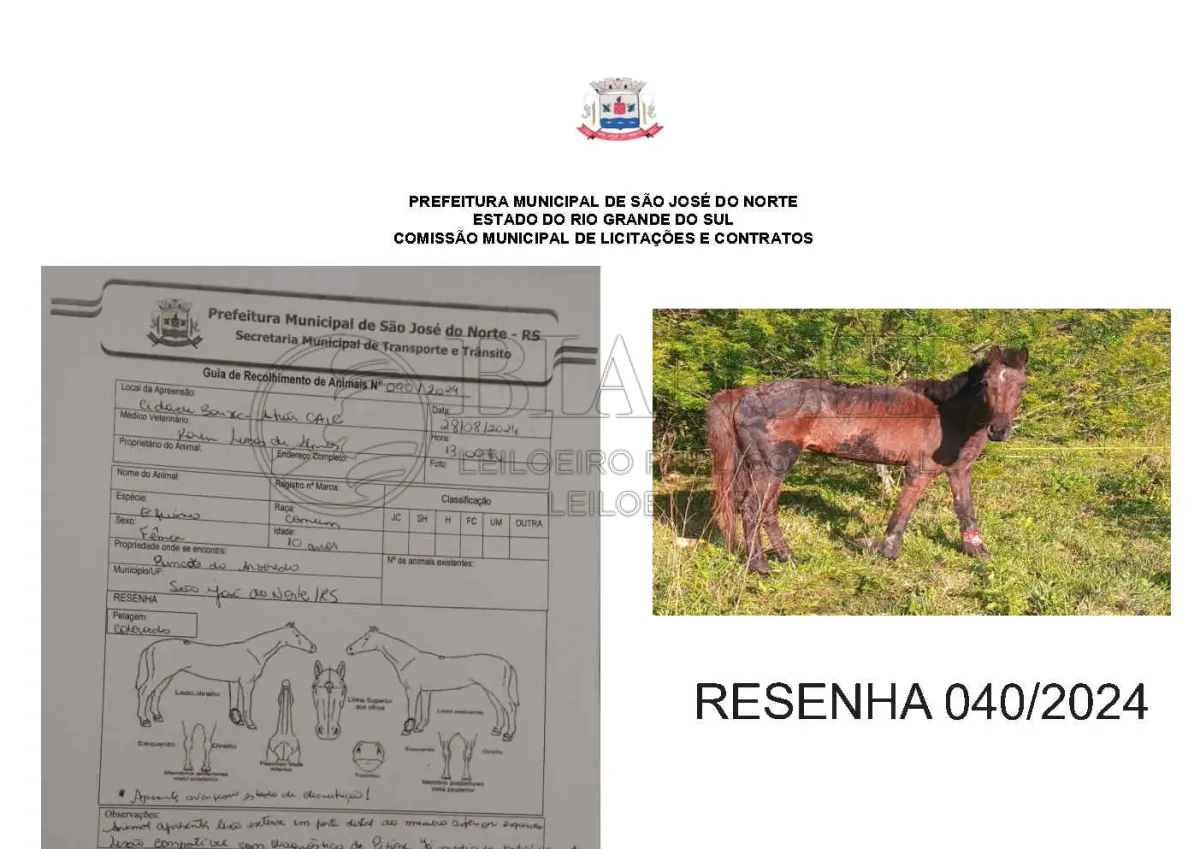 LOTE 001 - LOTE ÚNICO - TODOS