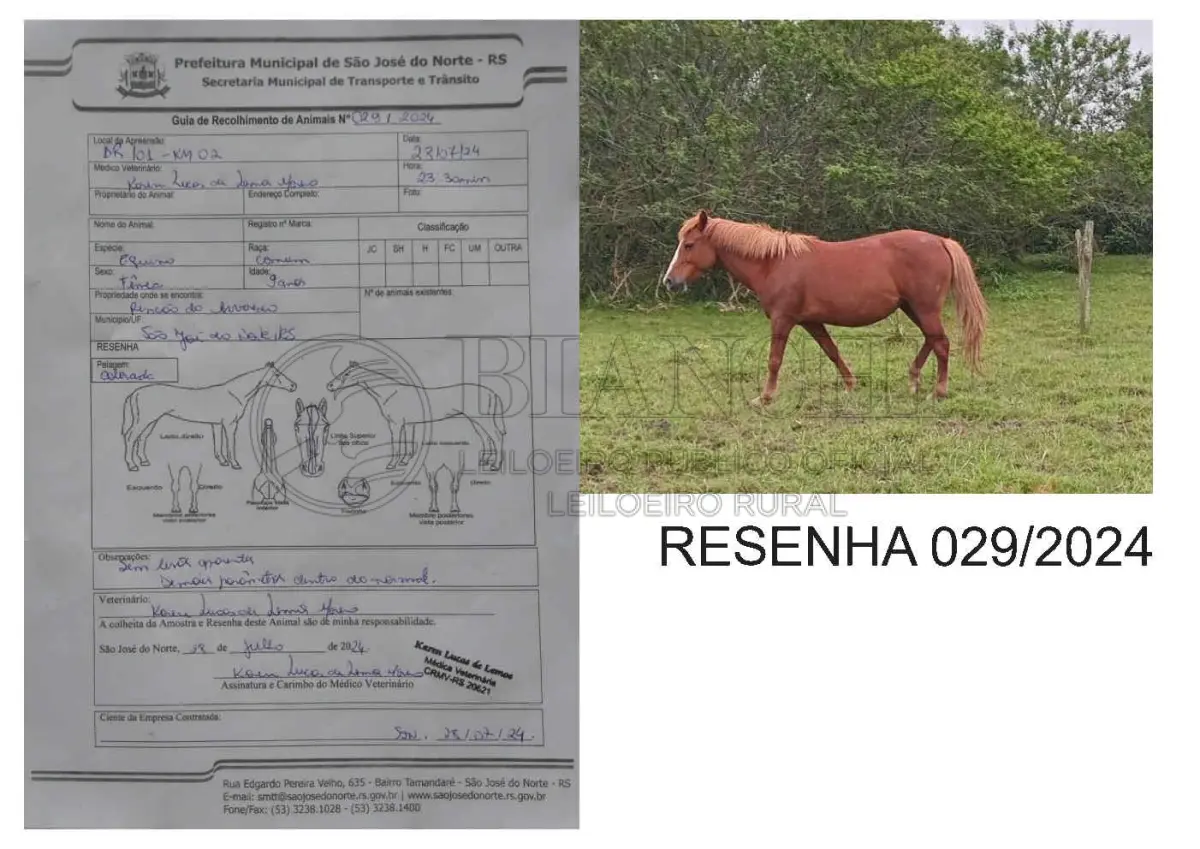 LOTE 001 - LOTE ÚNICO - TODOS