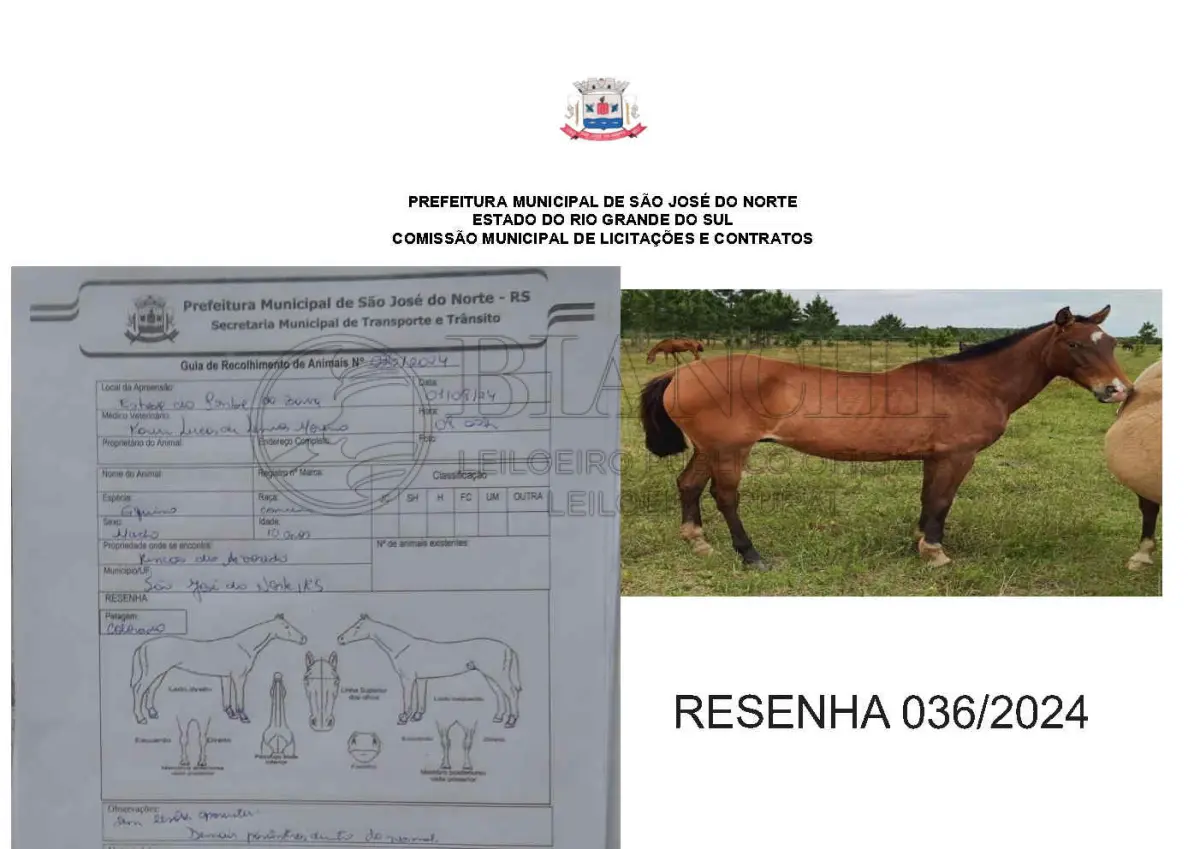 LOTE 001 - LOTE ÚNICO - TODOS
