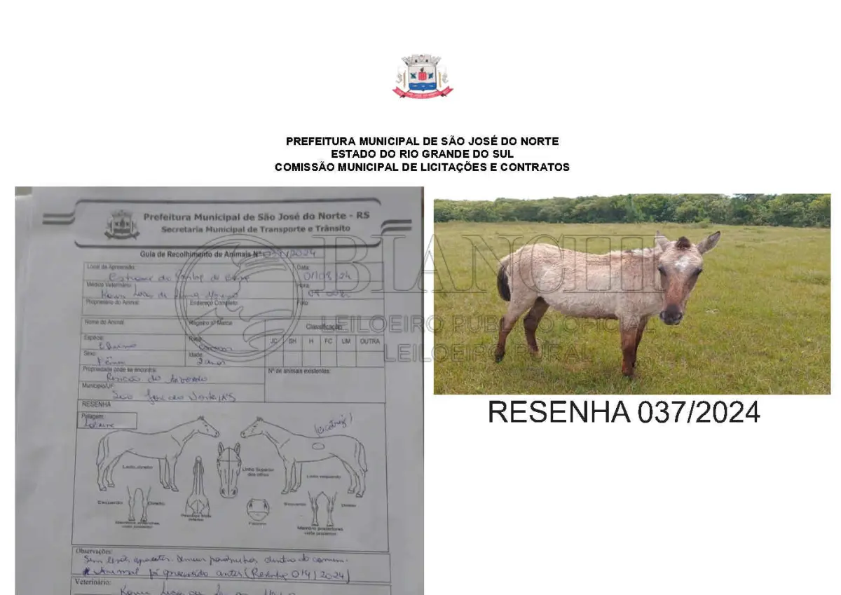 LOTE 001 - LOTE ÚNICO - TODOS