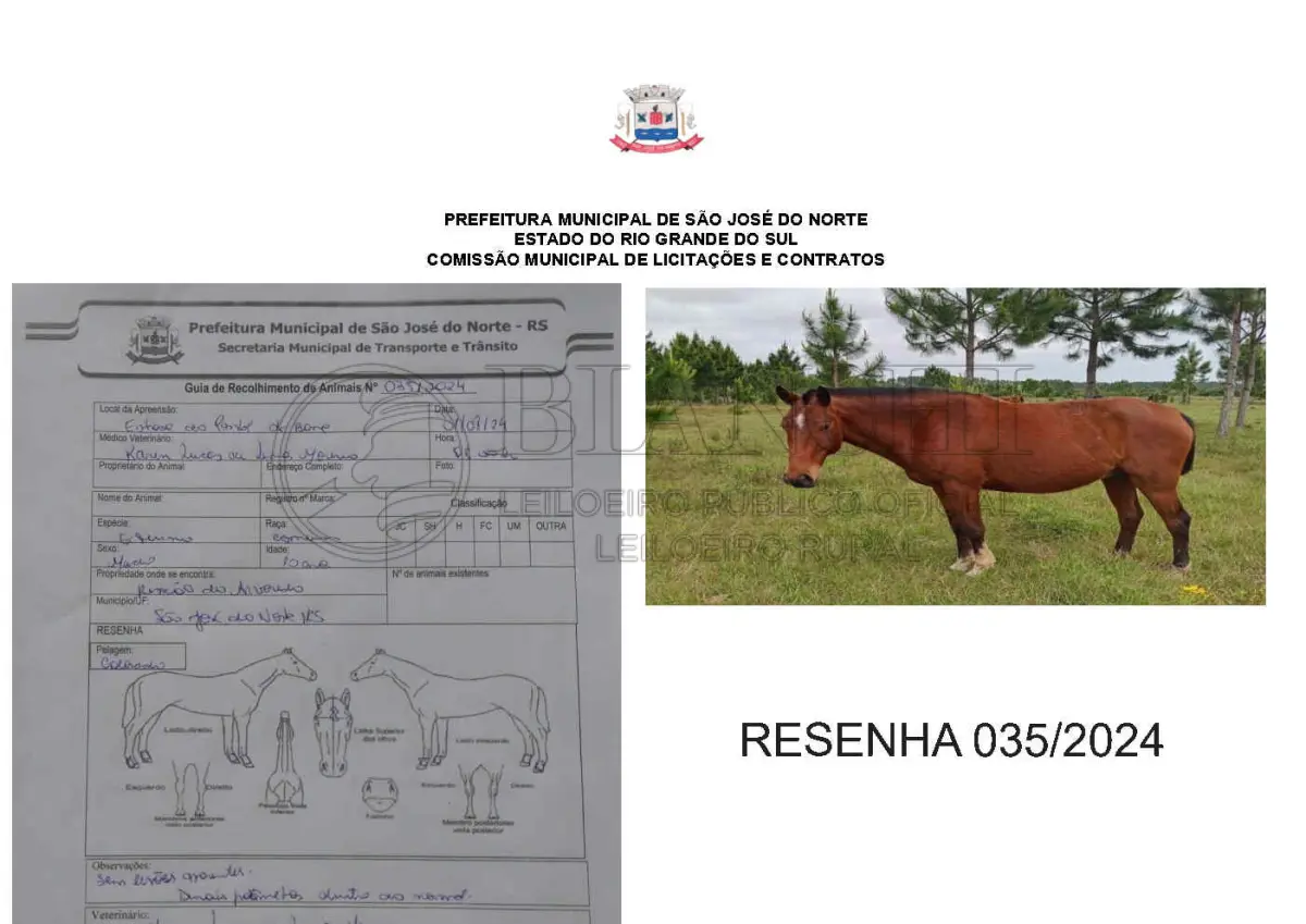 LOTE 001 - LOTE ÚNICO - TODOS
