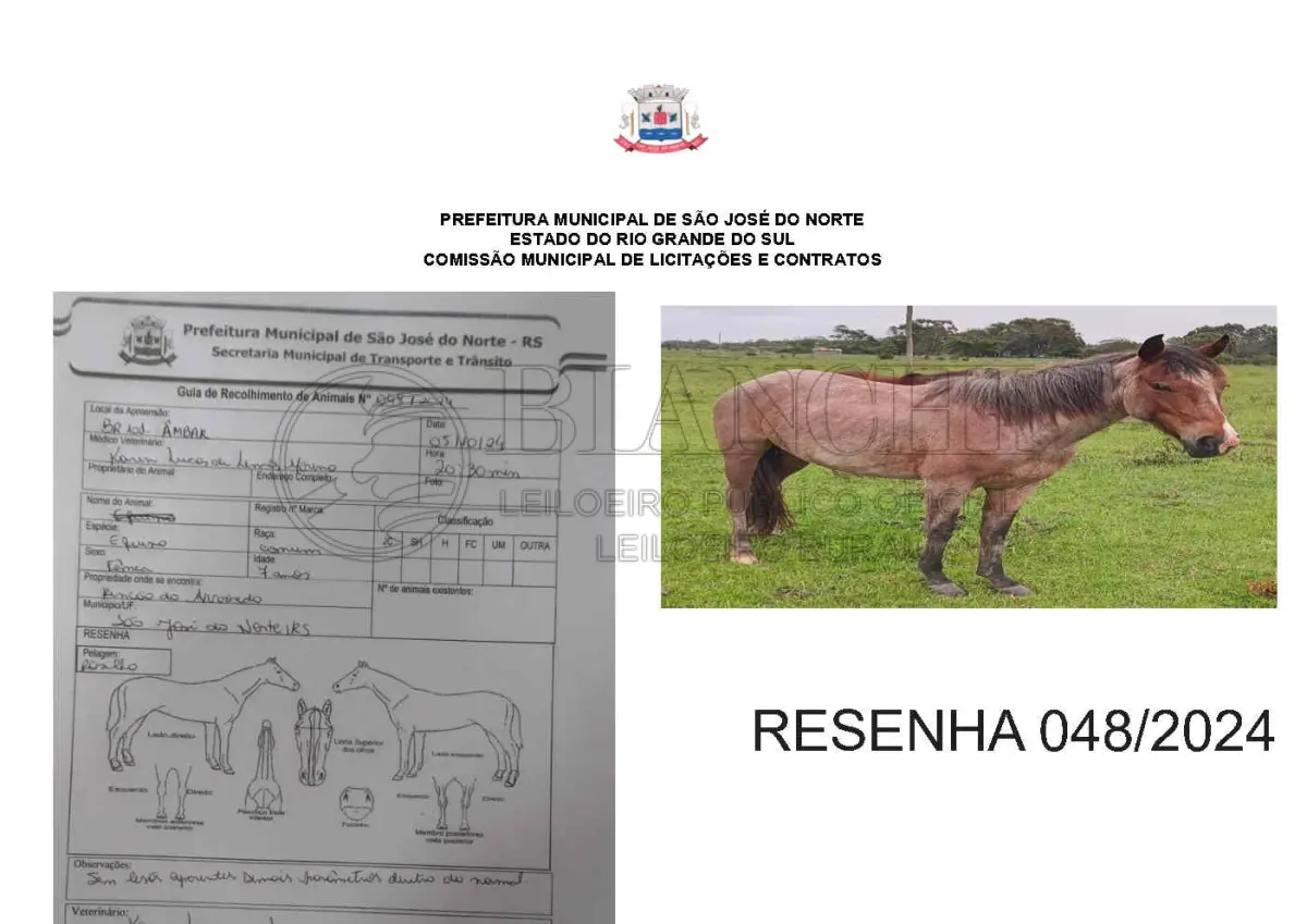 LOTE 001 - LOTE ÚNICO - TODOS