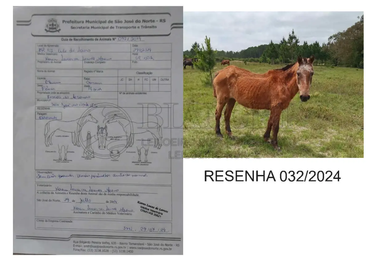 LOTE 001 - LOTE ÚNICO - TODOS