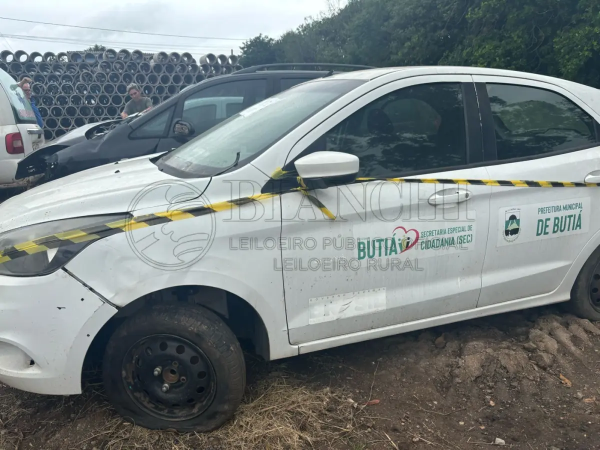 LOTE 003 - FORD/KA – 2015/2015