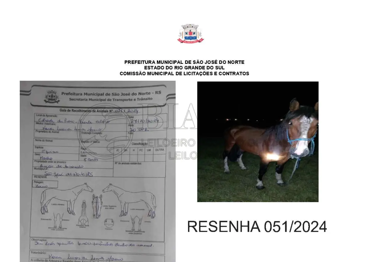 LOTE 001 - LOTE ÚNICO - TODOS