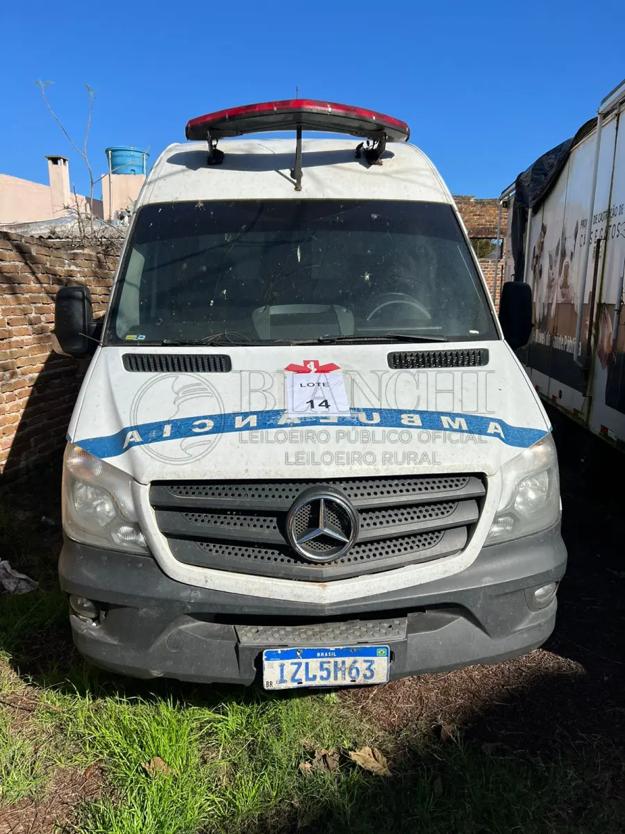 LOTE 014 - I.M Mercedes Benz SPRINT VIATUREA 2019