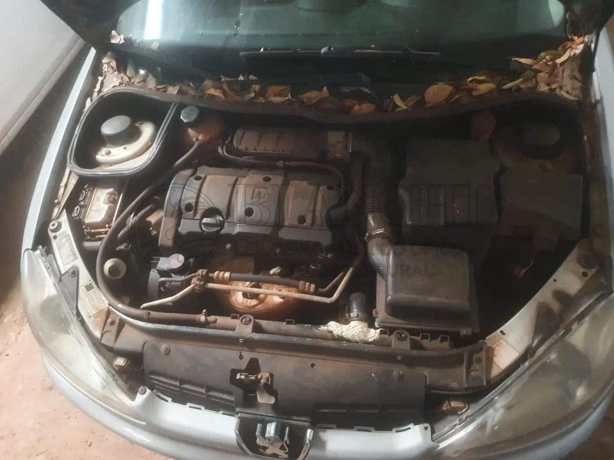 LOTE 001 - PEUGEOT/206 ANO 2005