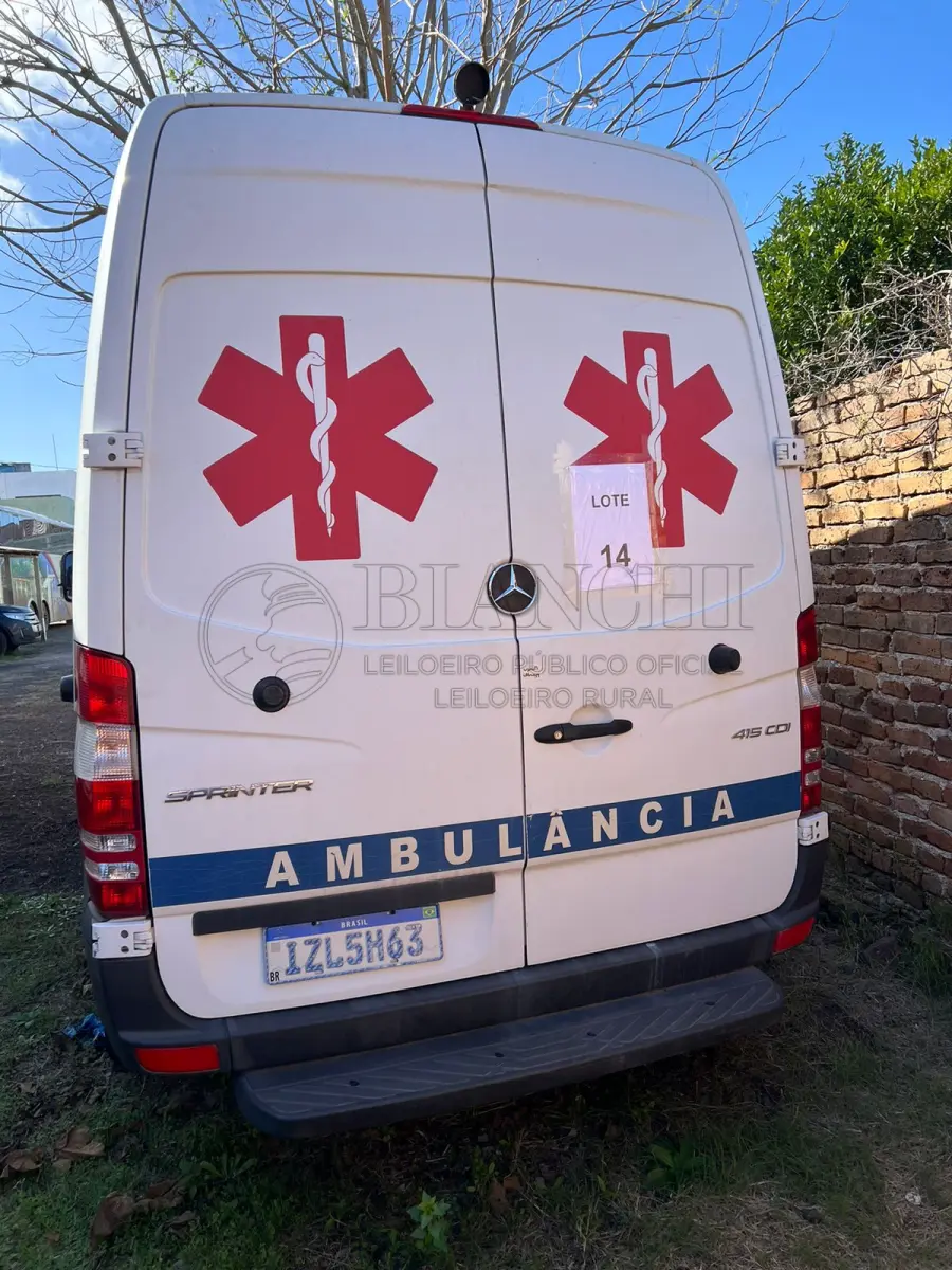 LOTE 014 - I.M Mercedes Benz SPRINT VIATUREA 2019