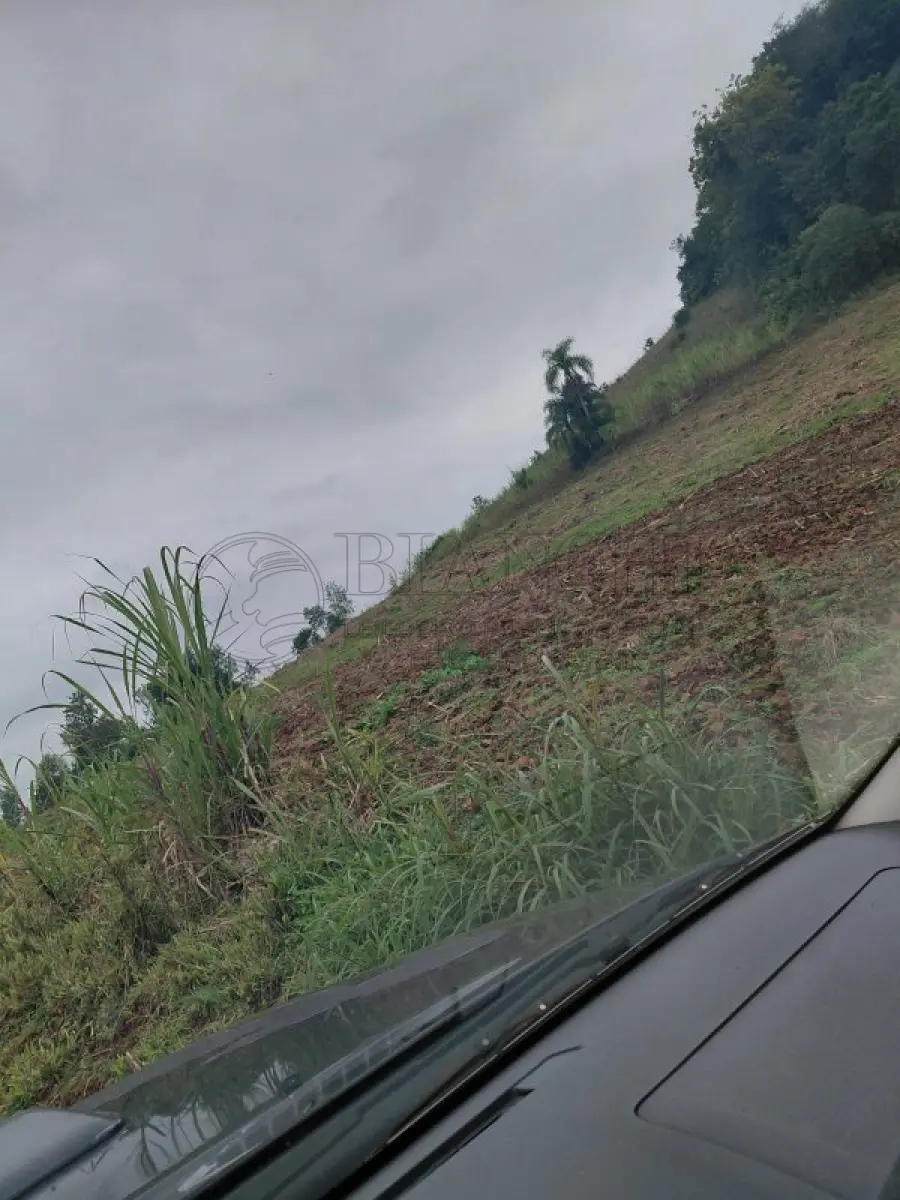 LOTE 000 - IMÓVEL EM CRISSIUMAL 33.500m²