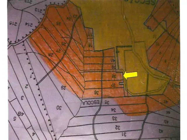 LEILÃO JUDICIAL | COMARCA DE HORIZONTINA - IMÓVEL 34200M² DISTRITO INDUSTRIAL