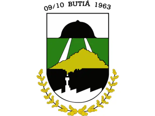 LEILÃO DE PREFEITURA | BUTIÁ