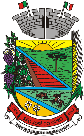 Leilão Município de São José do Ouro/RS