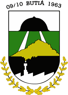 LEILÃO DE PREFEITURA | BUTIÁ