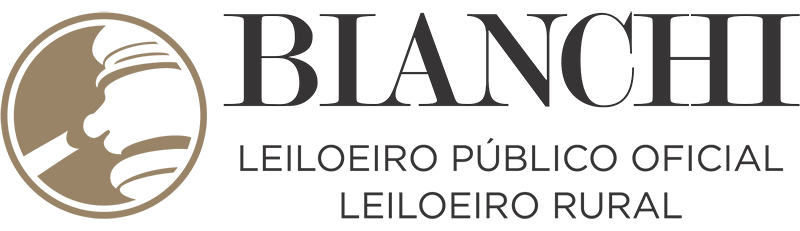 Dionir Bianchi Leilões