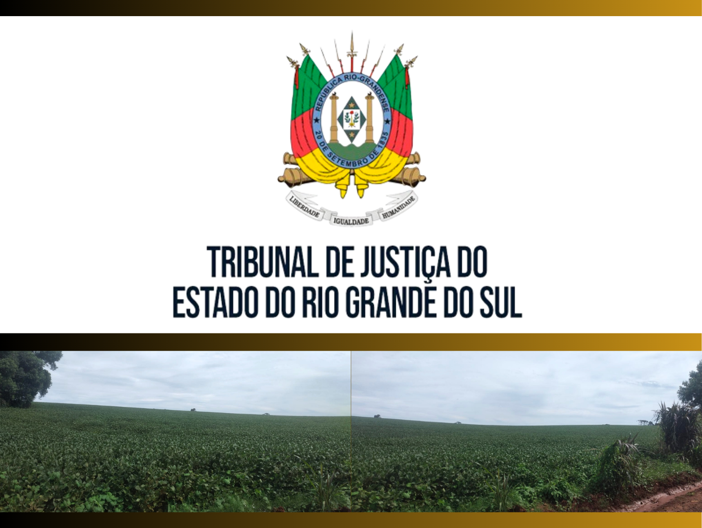 LEILÃO JUDICIAL | COMARCA DE PALMEIRA DAS MISSÕES - IMOVEL 214.285M²
